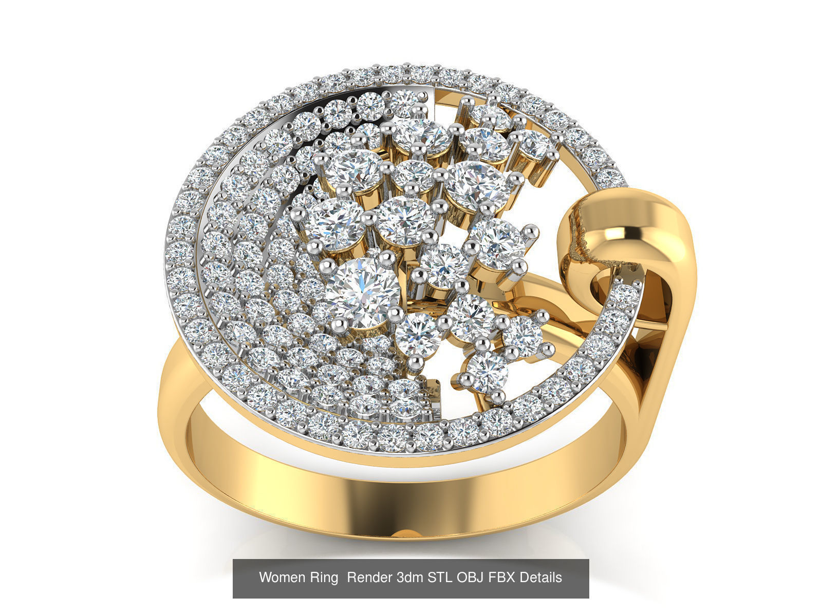101 Women Ring Render 3dm STL OBJ FBX Details 3D Model Collection_122