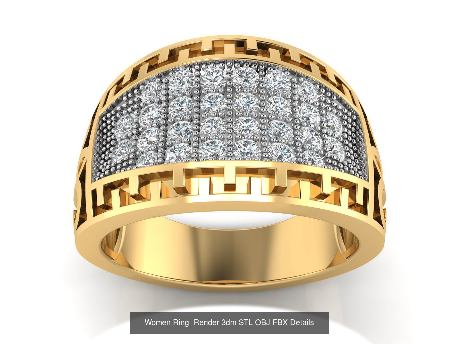 101 Women Ring Render 3dm STL OBJ FBX Details 3D Model Collection_116