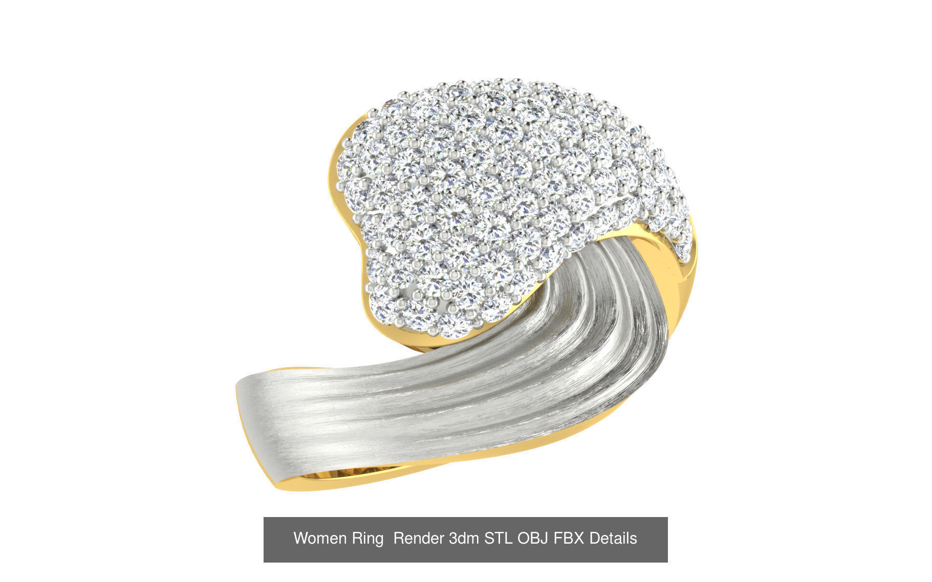 101 Women Ring Render 3dm STL OBJ FBX Details 3D Model Collection_53