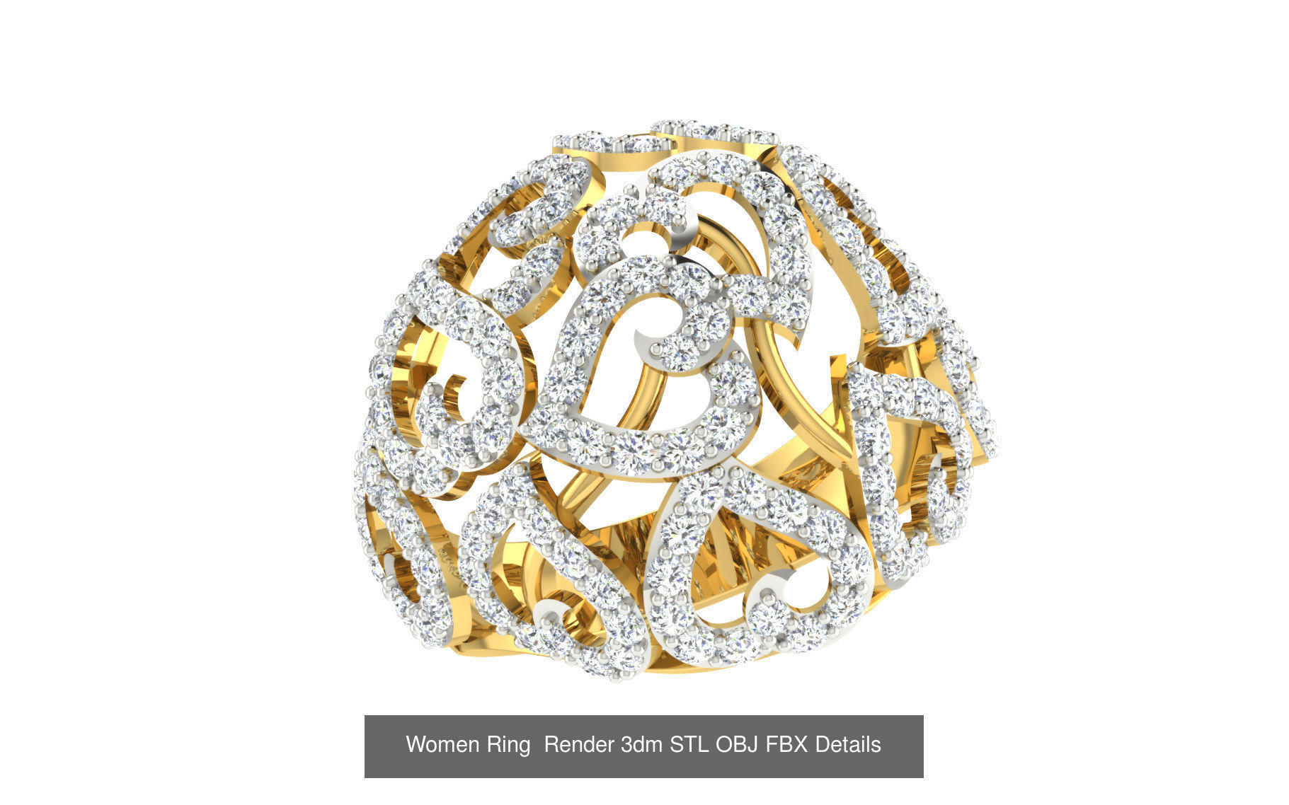 101 Women Ring Render 3dm STL OBJ FBX Details 3D Model Collection_47