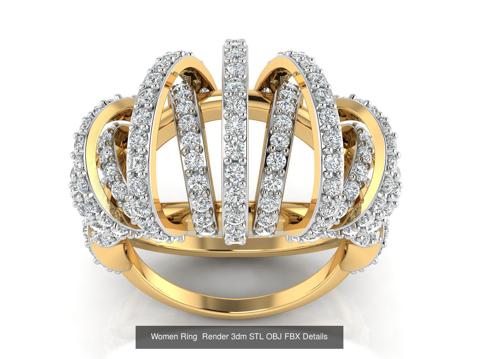 101 Women Ring Render 3dm STL OBJ FBX Details 3D Model Collection_107