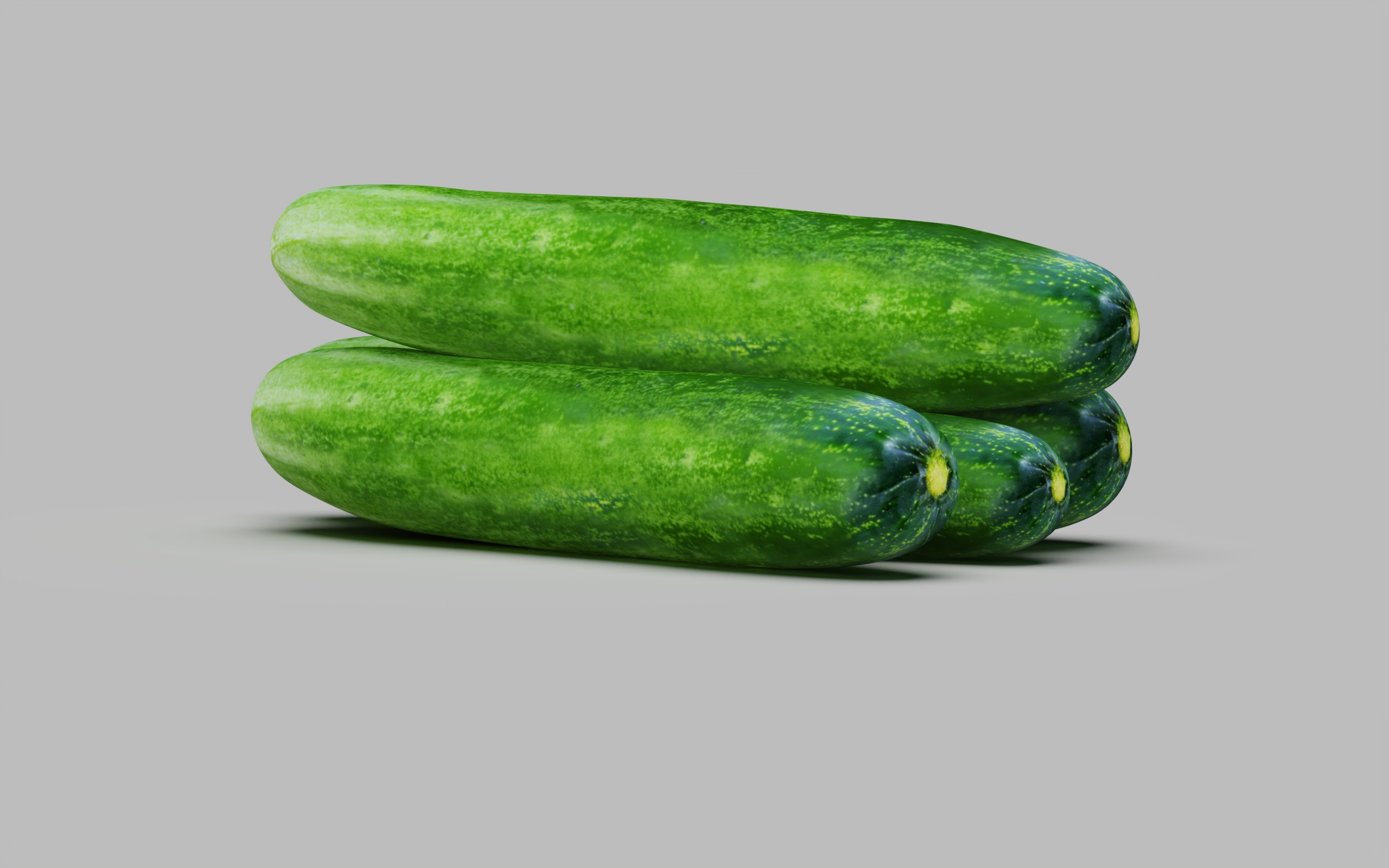 Cucumber 3D model_3