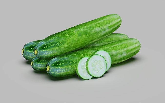 Cucumber 3D model
