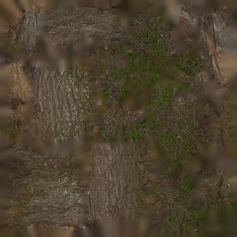 Anydrafts Hippophae rhamnoides Trunk 08 Low-poly 3D model_1