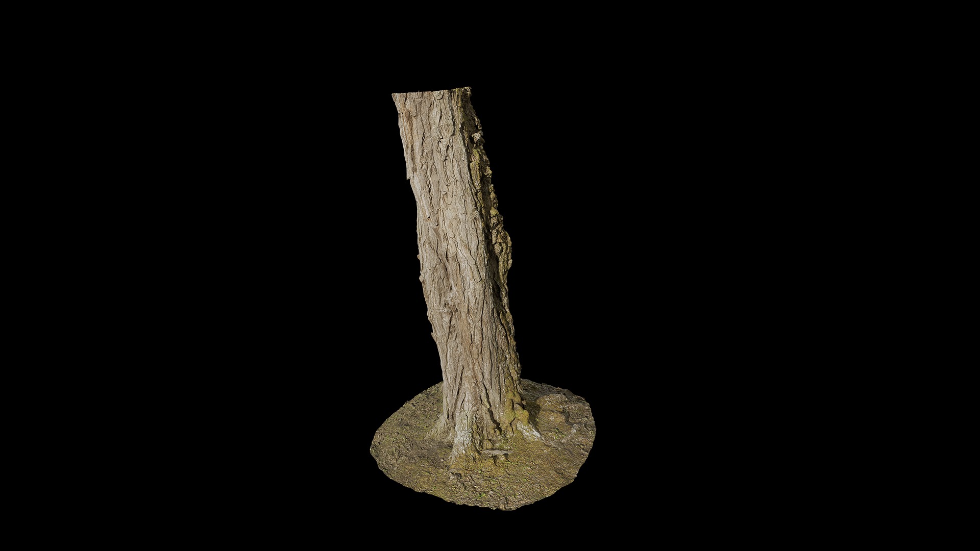 Anydrafts Hippophae rhamnoides Trunk 12 Low-poly 3D model_6