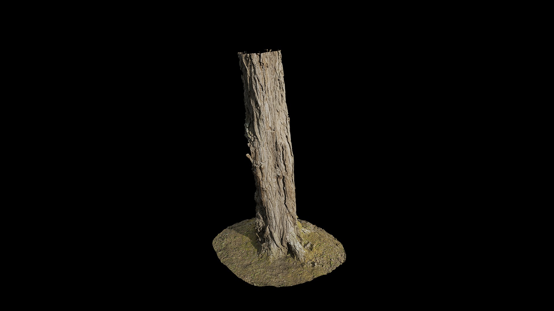 Anydrafts Hippophae rhamnoides Trunk 12 Low-poly 3D model_4