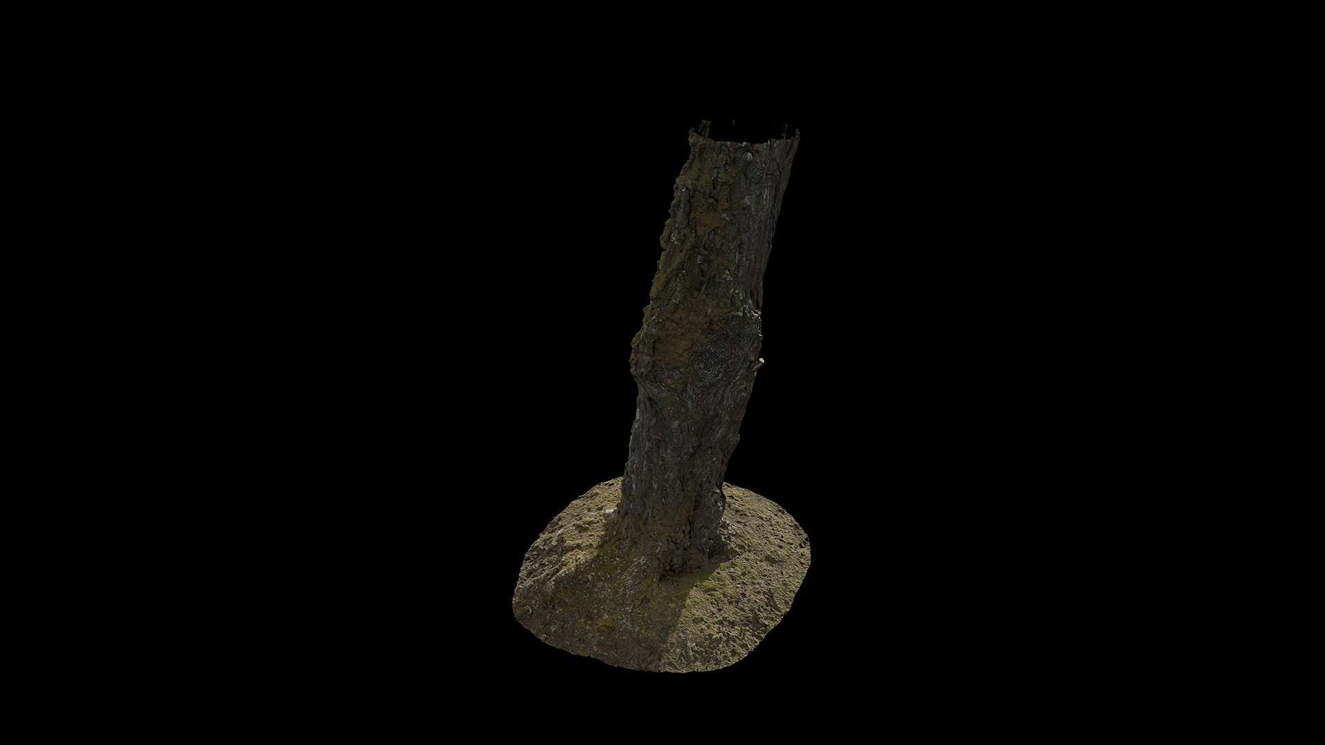 Anydrafts Hippophae rhamnoides Trunk 12 Low-poly 3D model_7