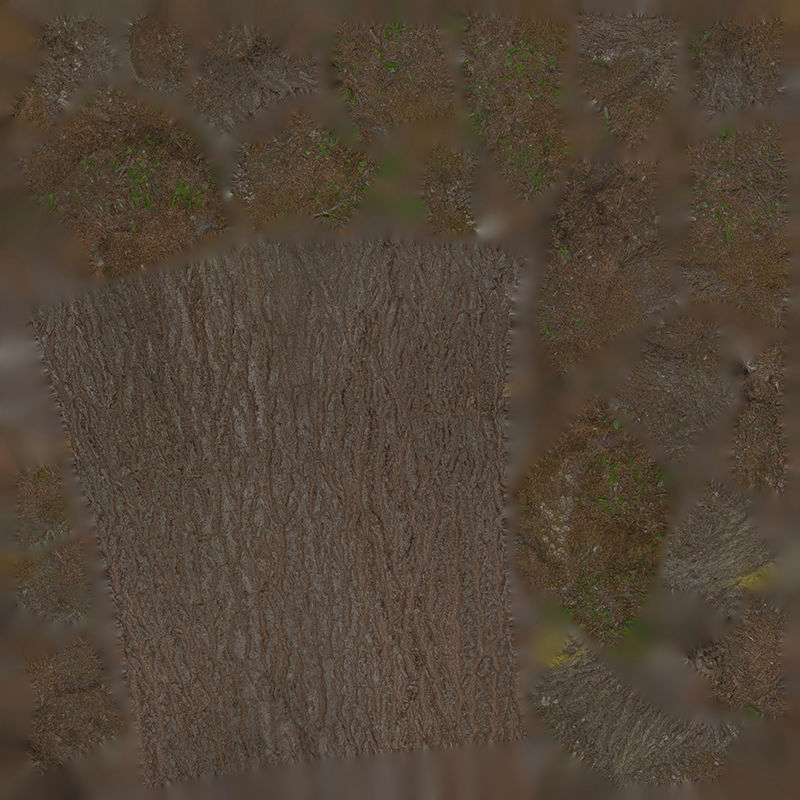 Anydrafts Hippophae rhamnoides Trunk 13 Low-poly 3D model_1