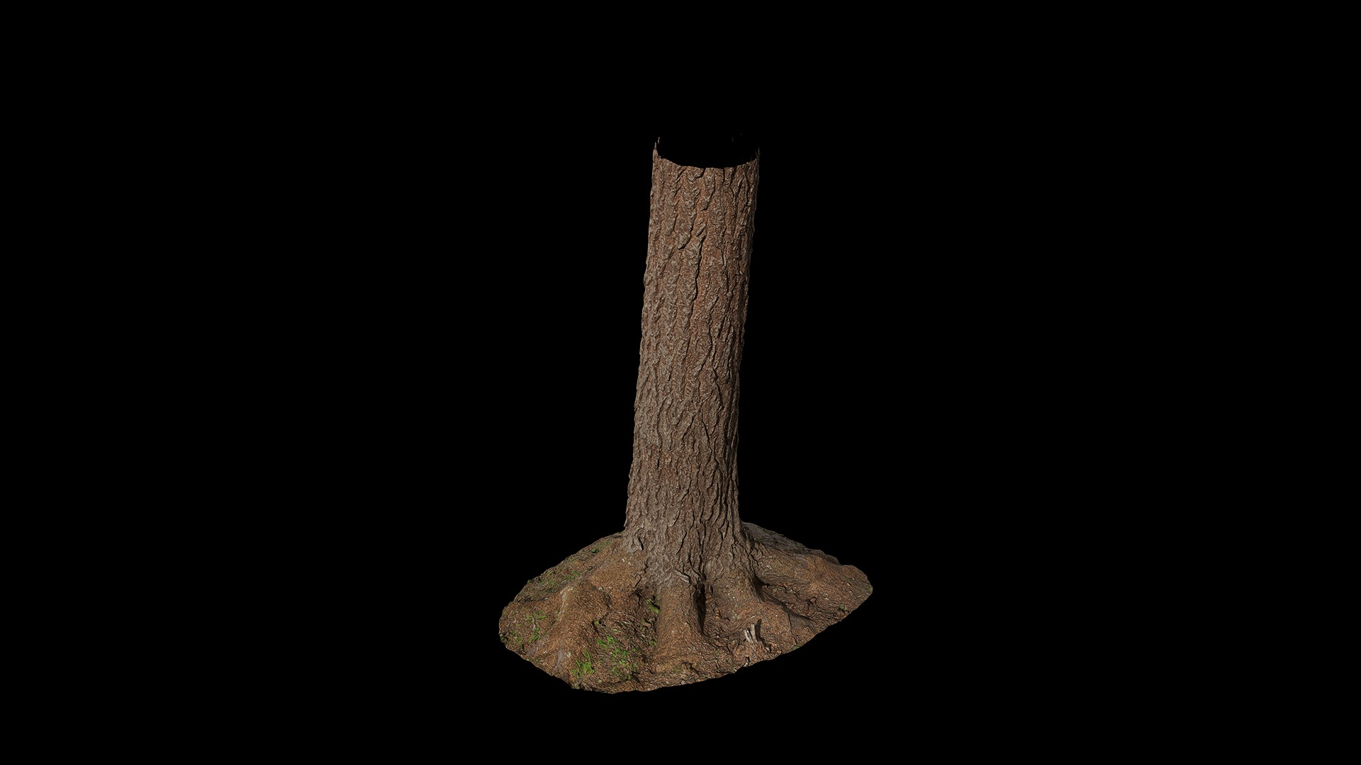 Anydrafts Hippophae rhamnoides Trunk 13 Low-poly 3D model_6