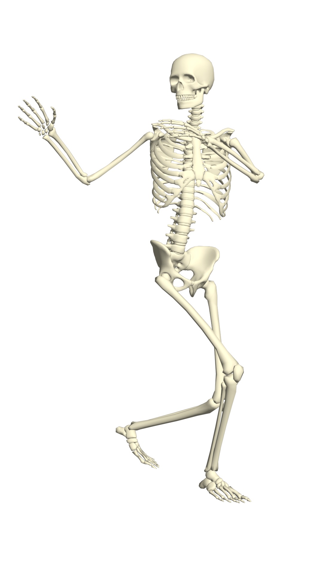 Mega Pack of 210 Rigged and Animated Skeletons 3D model_9