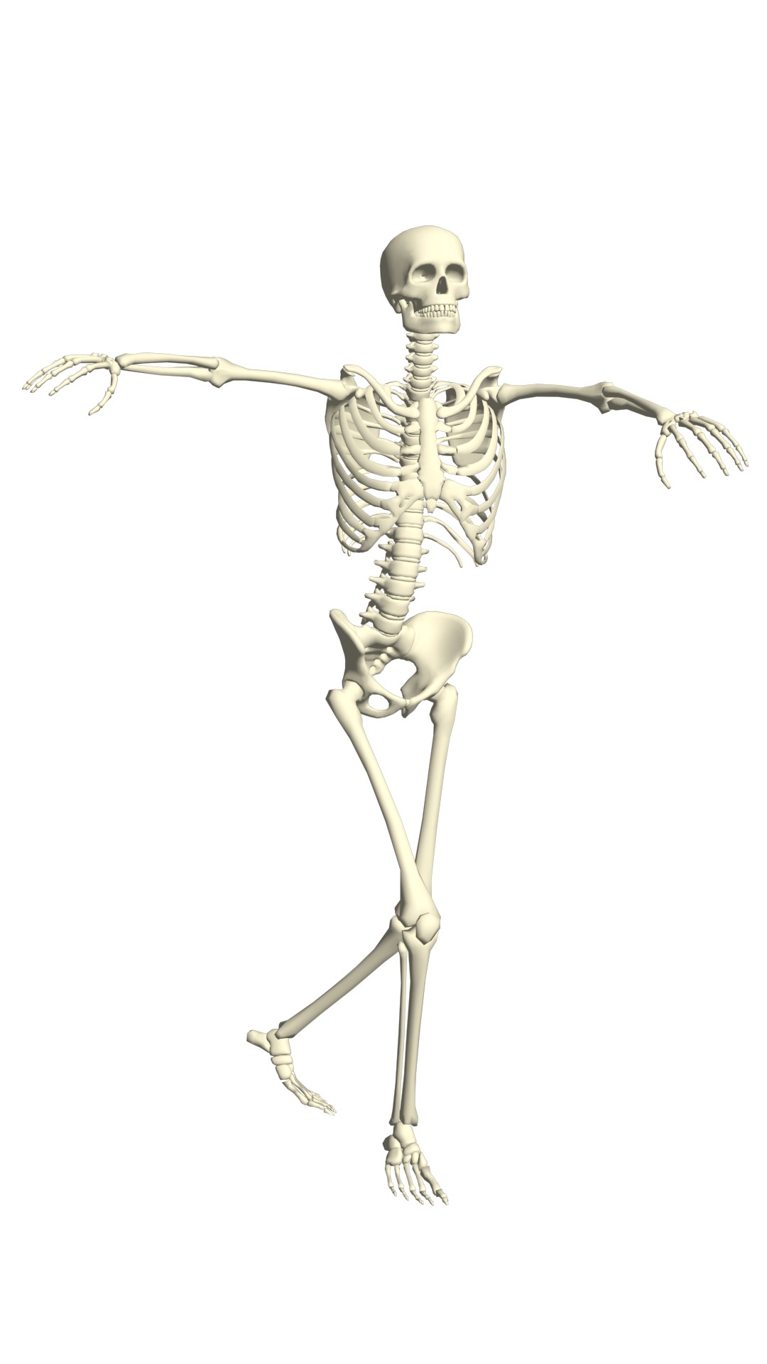 Mega Pack of 210 Rigged and Animated Skeletons 3D model_12