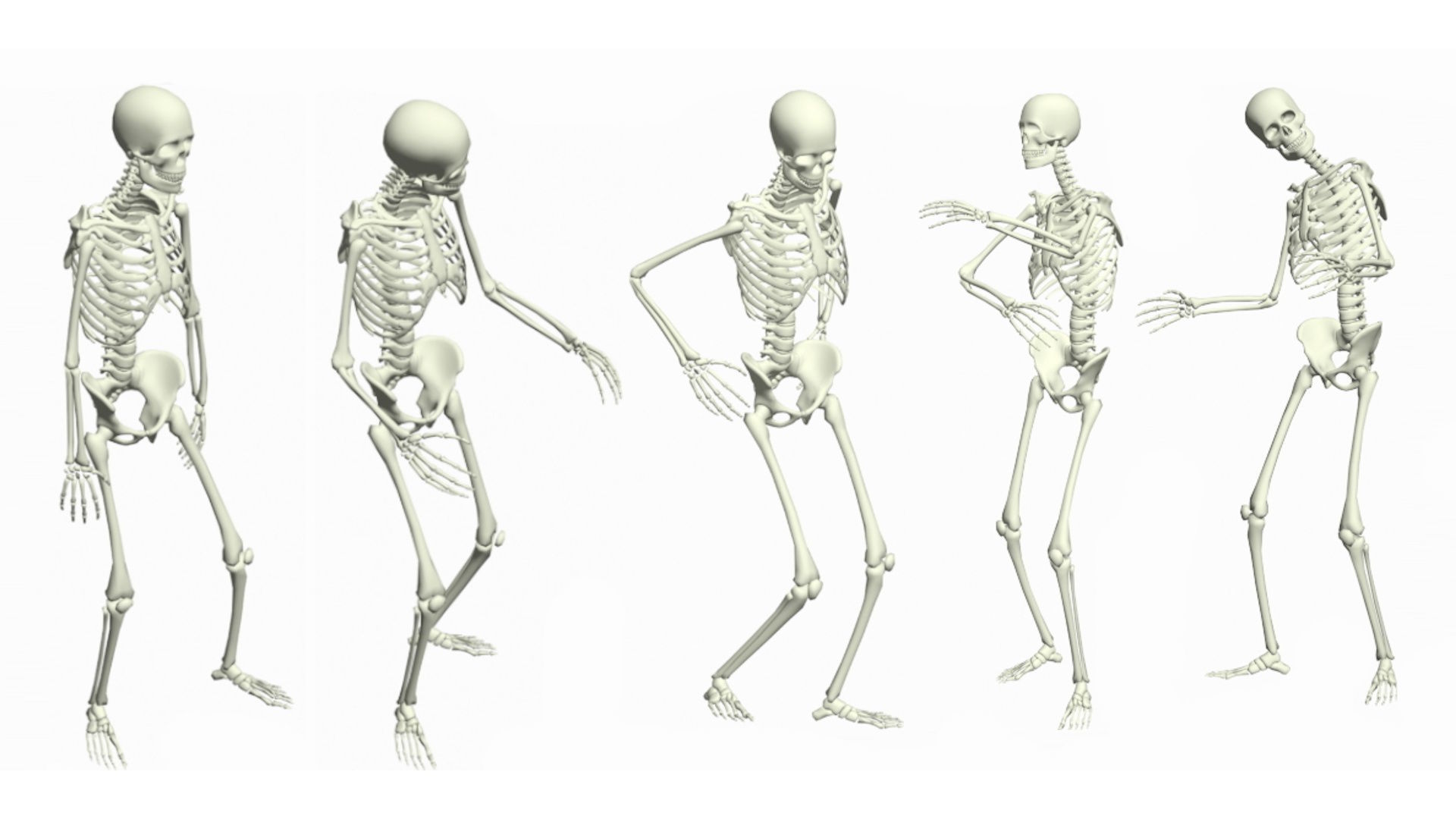 Mega Pack of 210 Rigged and Animated Skeletons 3D model_10