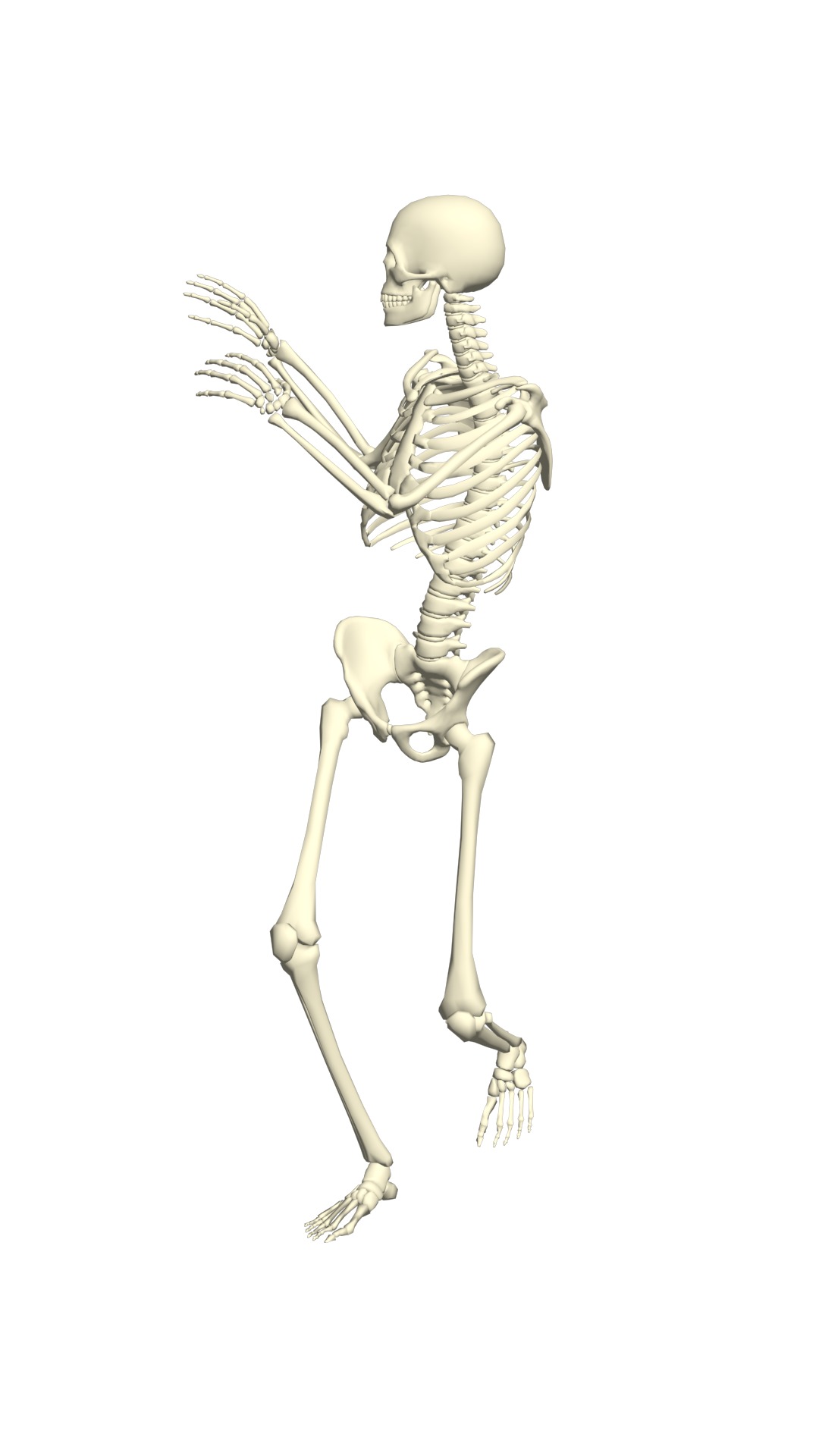 Mega Pack of 210 Rigged and Animated Skeletons 3D model_15