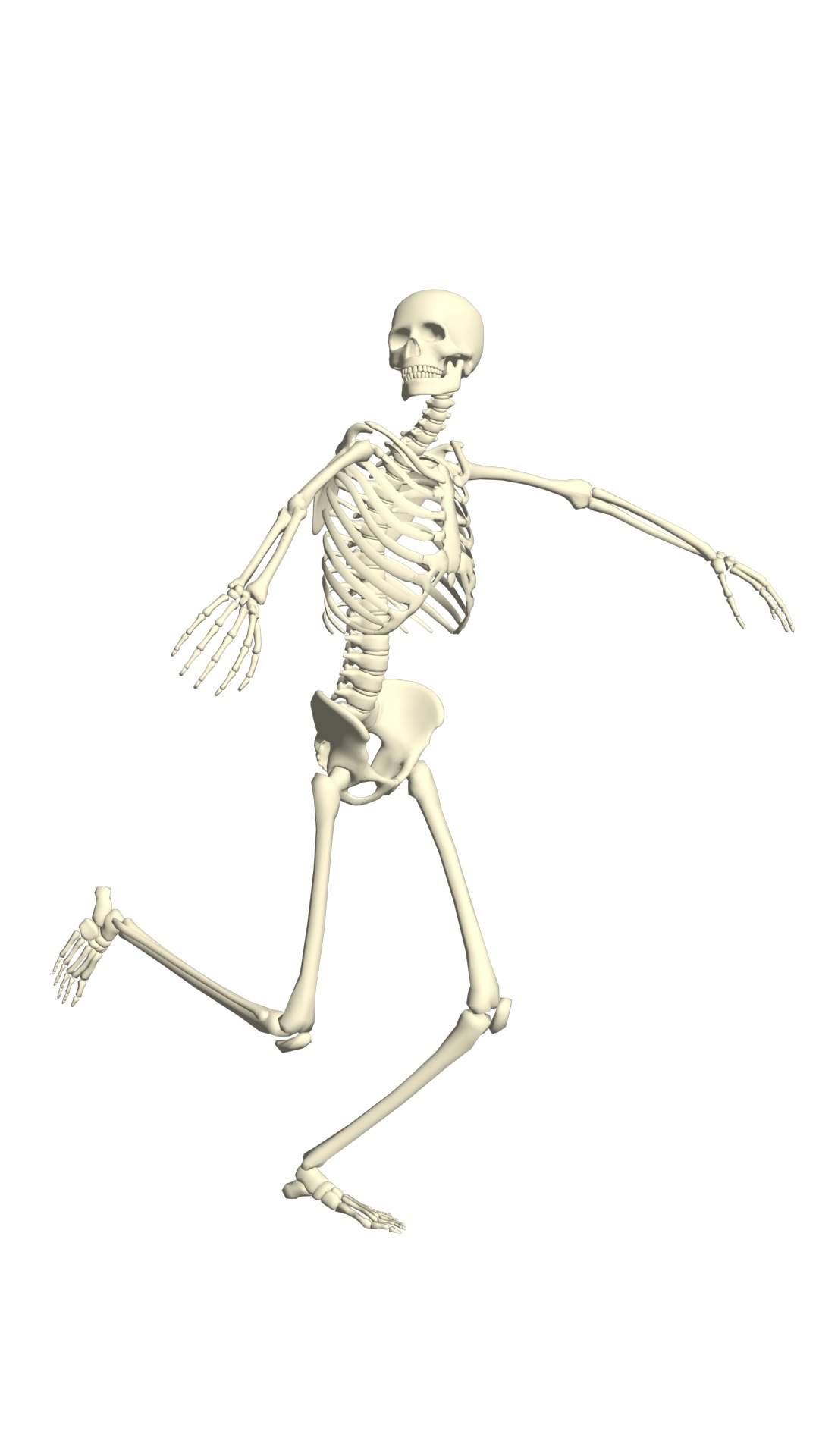 Mega Pack of 210 Rigged and Animated Skeletons 3D model_13