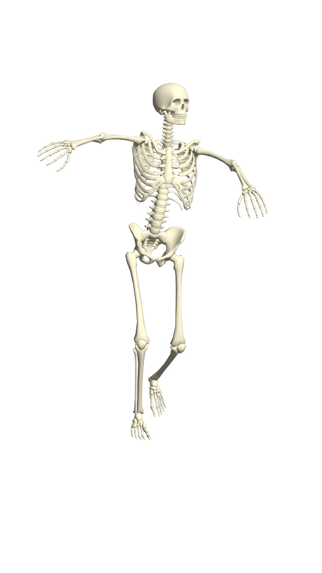 Mega Pack of 210 Rigged and Animated Skeletons 3D model_14