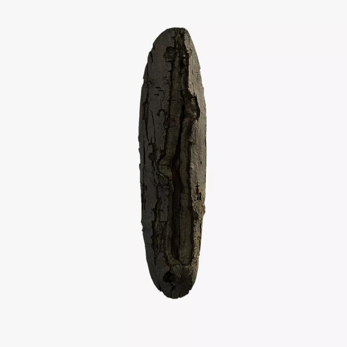 Anydrafts Juglans Burl 01 Low-poly 3D model