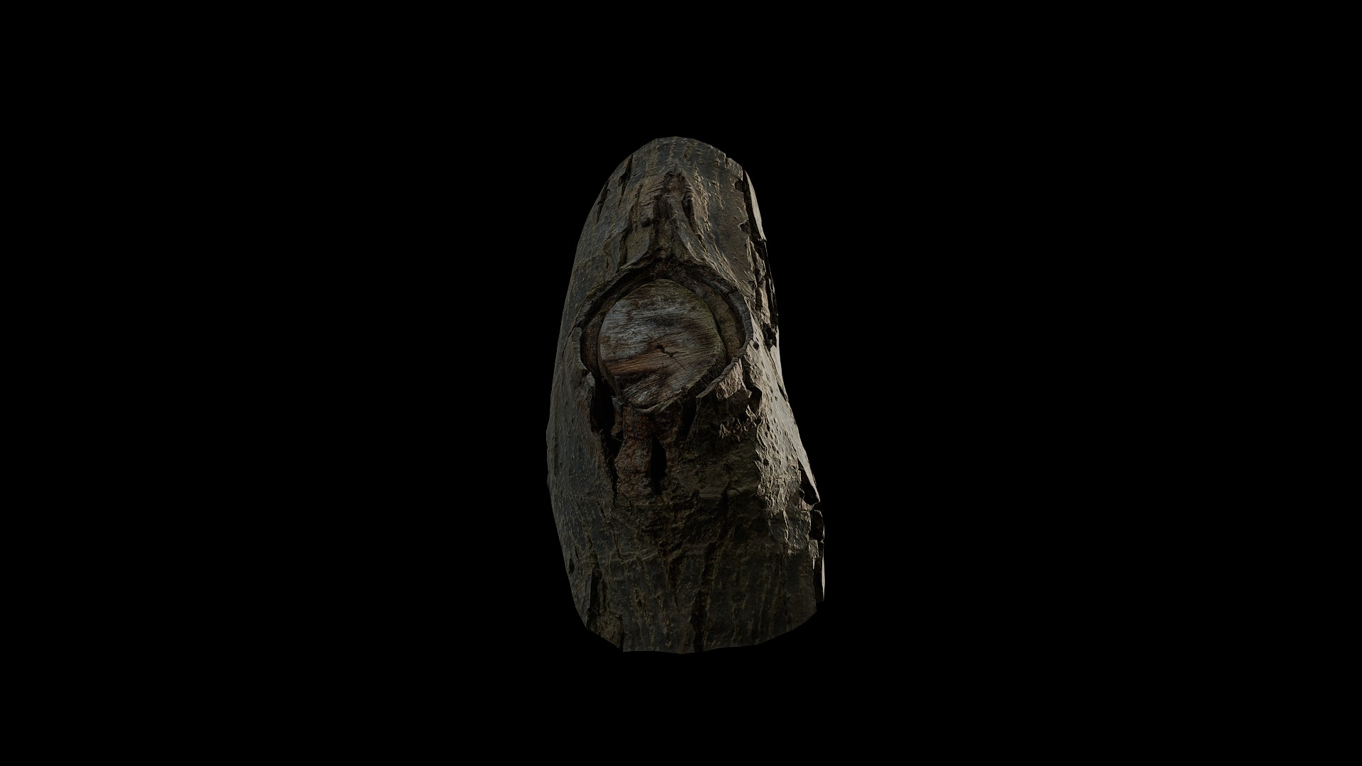 Anydrafts Juglans Burl 02 Low-poly 3D model_5