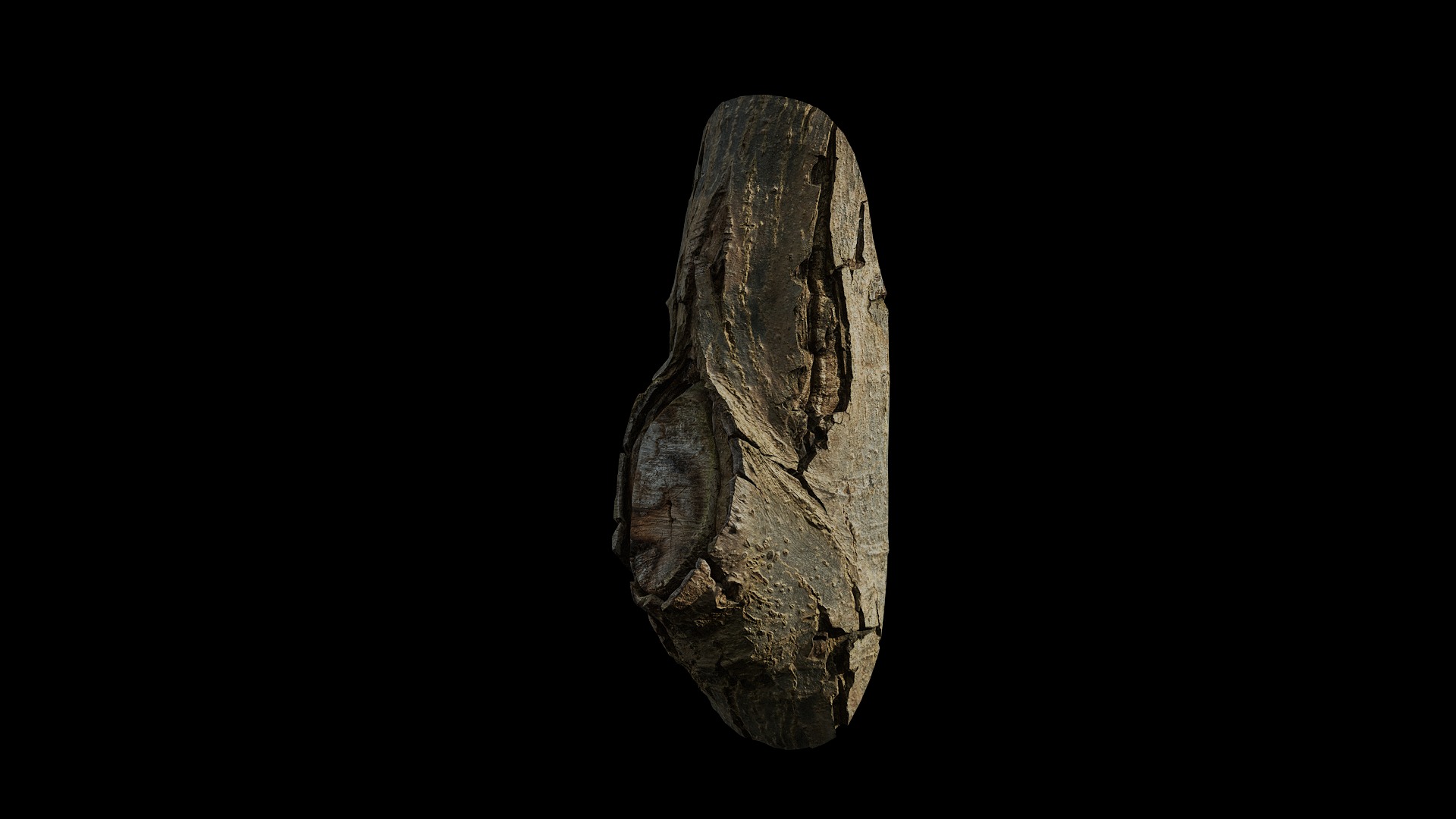 Anydrafts Juglans Burl 02 Low-poly 3D model_4