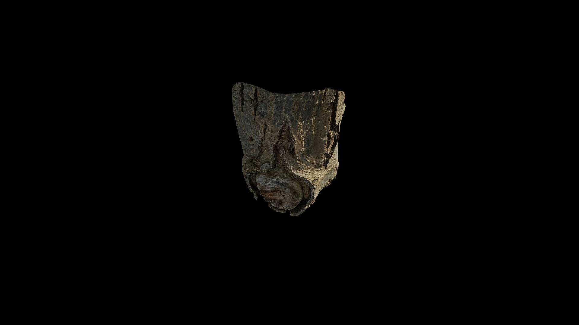 Anydrafts Juglans Burl 02 Low-poly 3D model_6