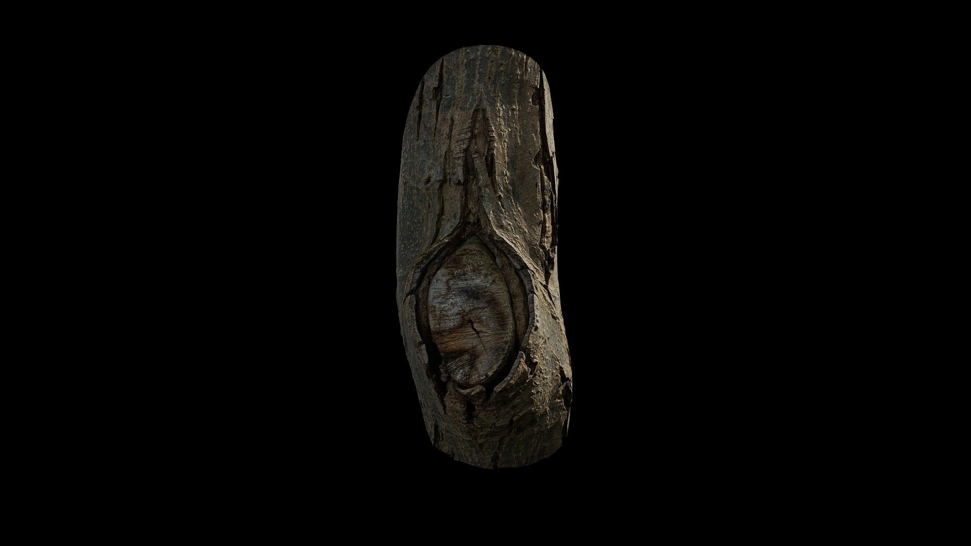 Anydrafts Juglans Burl 02 Low-poly 3D model_2