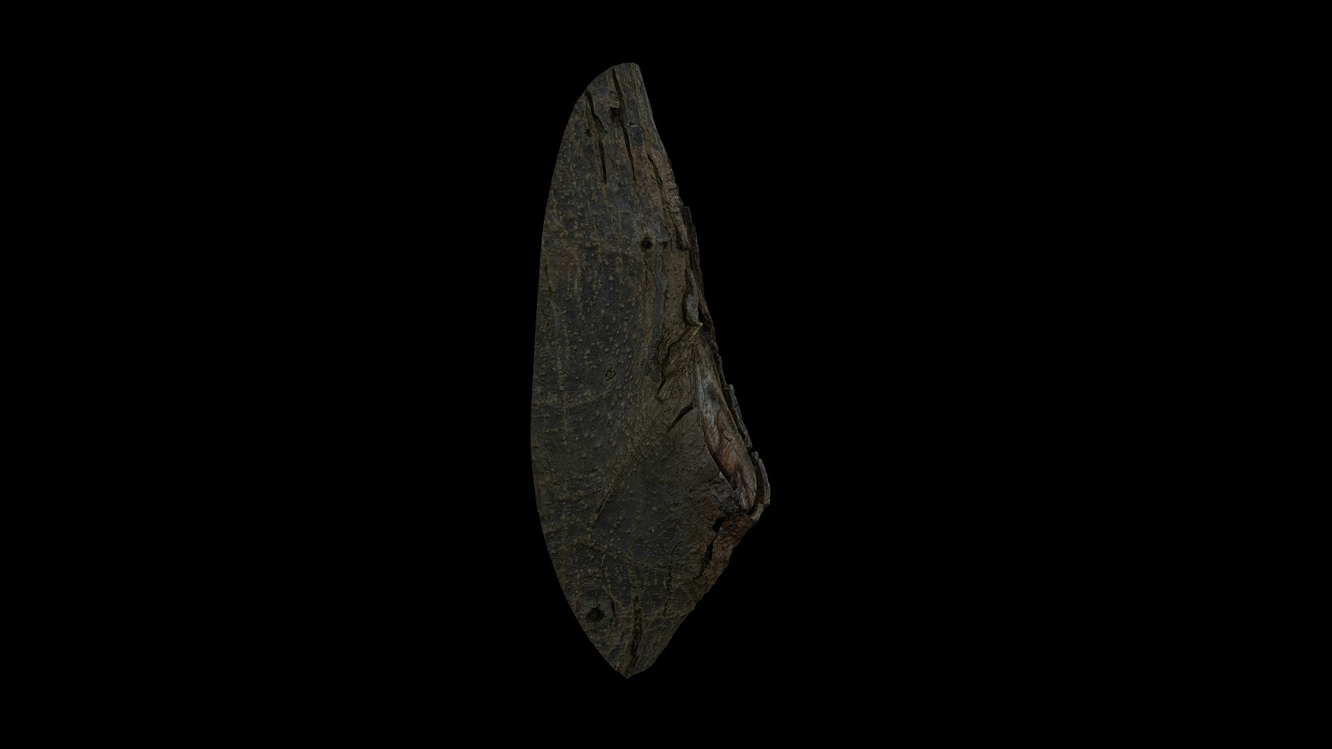 Anydrafts Juglans Burl 02 Low-poly 3D model_7