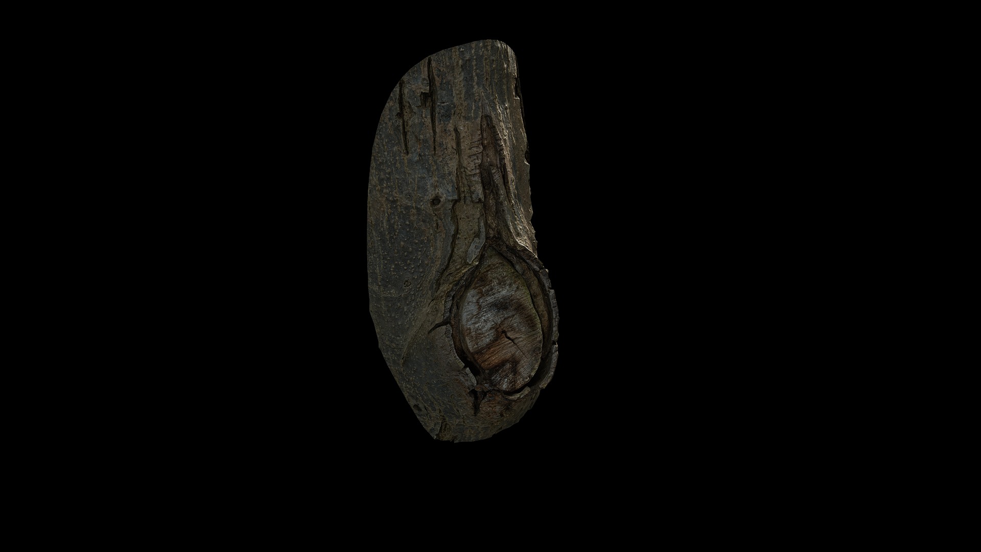 Anydrafts Juglans Burl 02 Low-poly 3D model_8