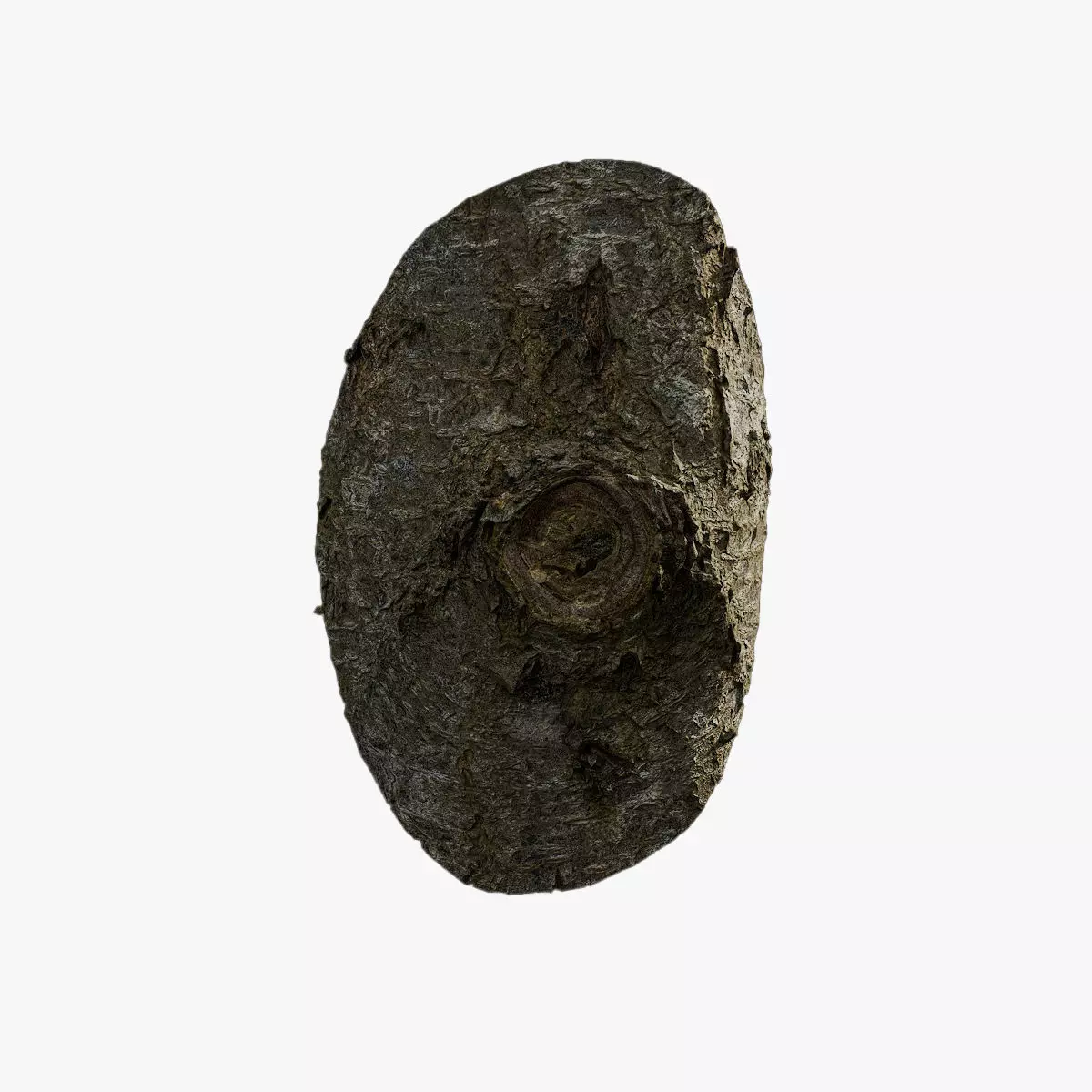 Anydrafts Juglans cathayensis Burl 01 Low-poly 3D model