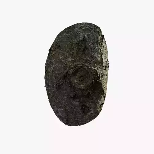 Anydrafts Juglans cathayensis Burl 01