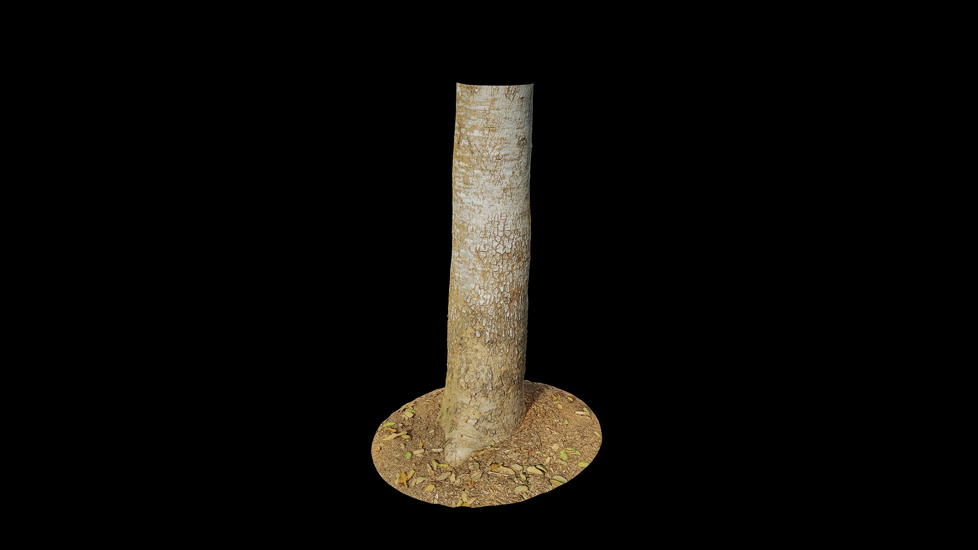 Anydrafts Khaya ivorensis Trunk 01 Low-poly 3D model_6