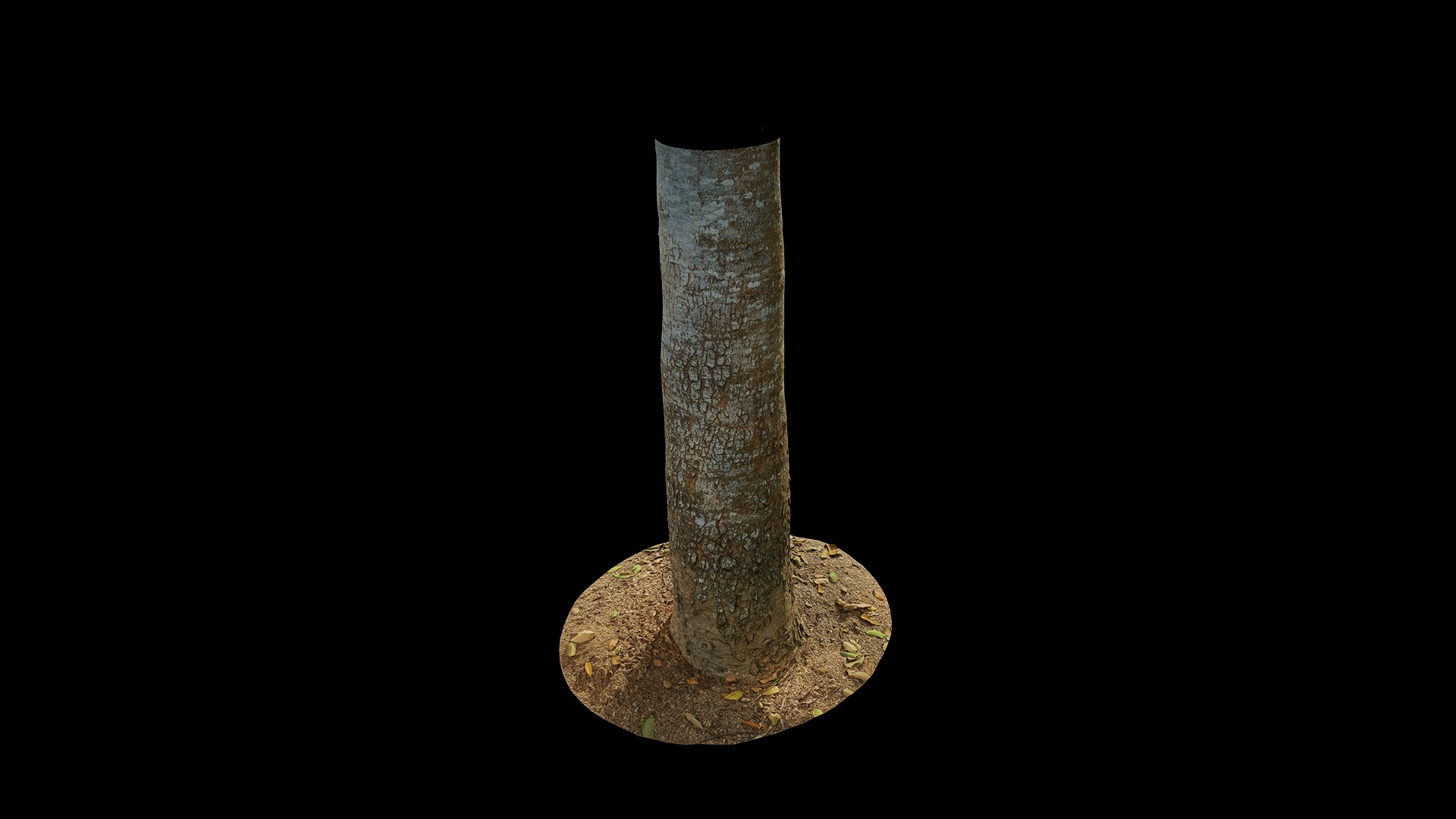 Anydrafts Khaya ivorensis Trunk 01 Low-poly 3D model_7