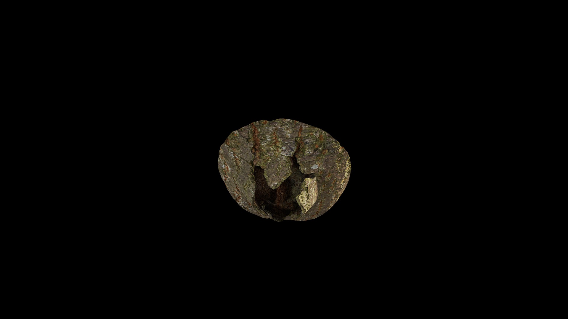 Anydrafts Koelreuteria paniculata Burl 15 Low-poly 3D model_6