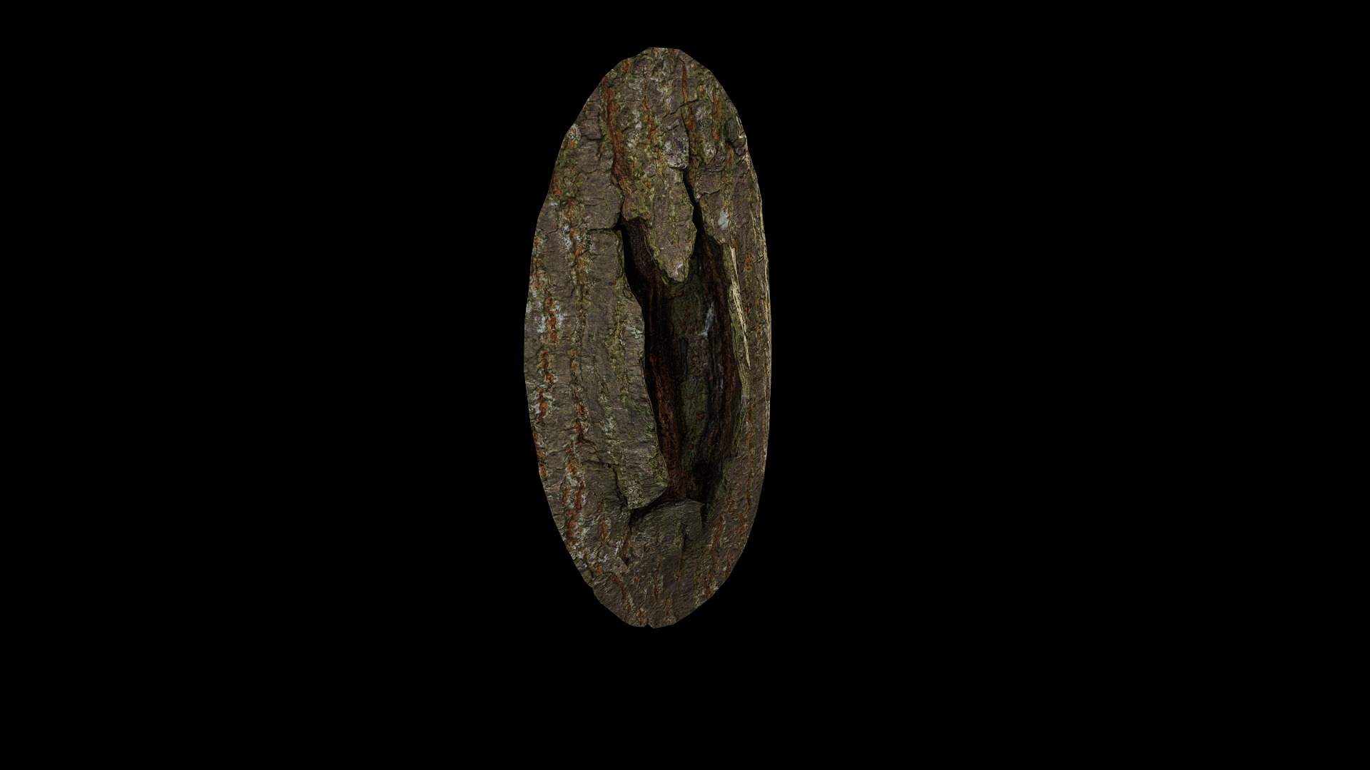 Anydrafts Koelreuteria paniculata Burl 15 Low-poly 3D model_8