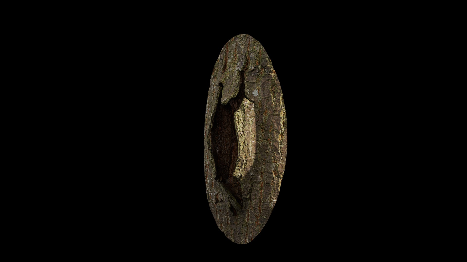 Anydrafts Koelreuteria paniculata Burl 15 Low-poly 3D model_4