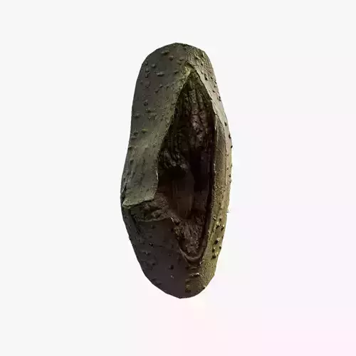 Anydrafts Koelreuteria paniculata Burl 16 Low-poly 3D model