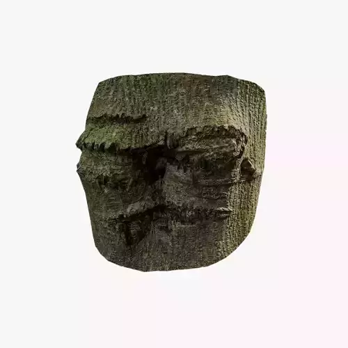 Anydrafts Koelreuteria paniculata Burl 17 Low-poly 3D model
