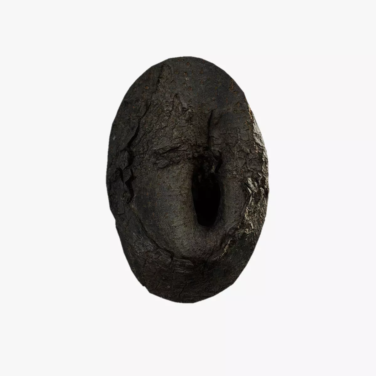 Anydrafts Koelreuteria paniculata Burl 18 Low-poly 3D model