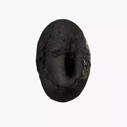 Anydrafts Koelreuteria paniculata Burl 18 Low-poly 3D model