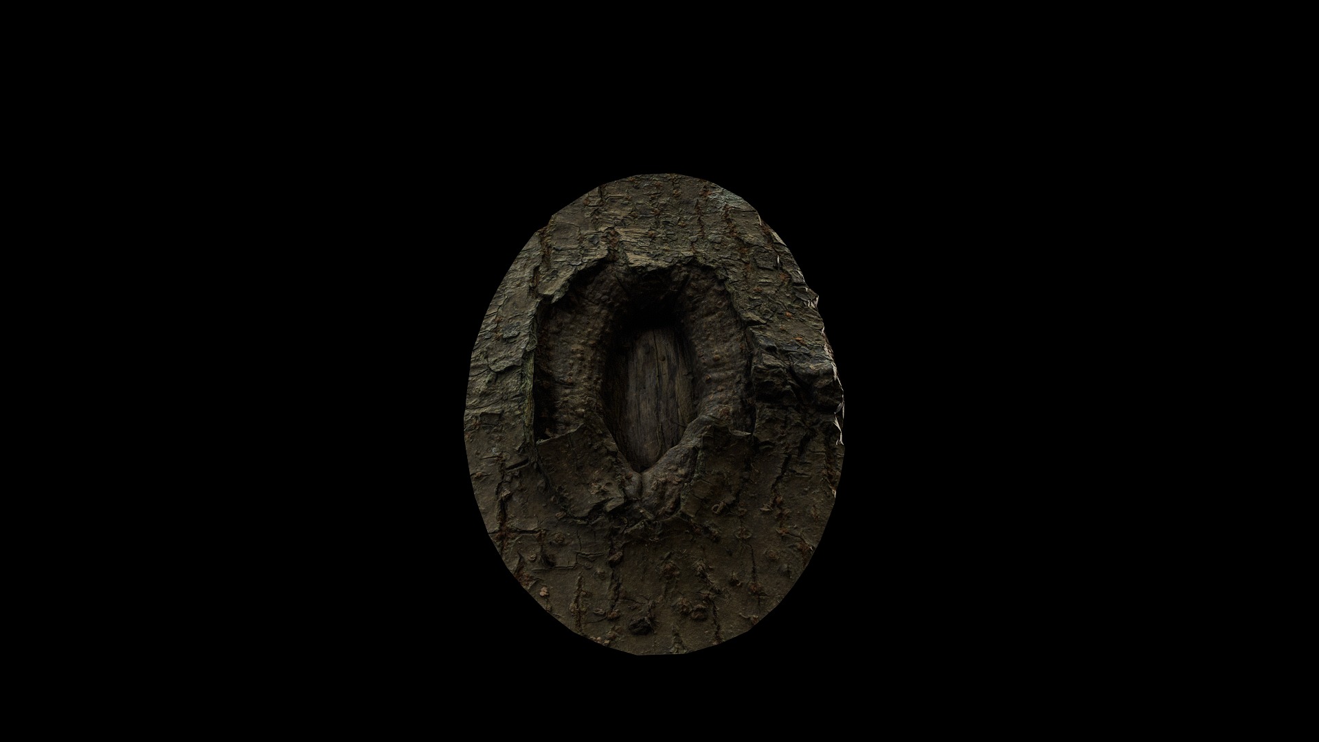 Anydrafts Koelreuteria paniculata Burl 19 Low-poly 3D model_5