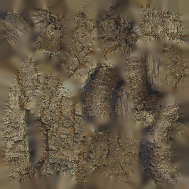 Anydrafts Koelreuteria paniculata Burl 19 Low-poly 3D model_1
