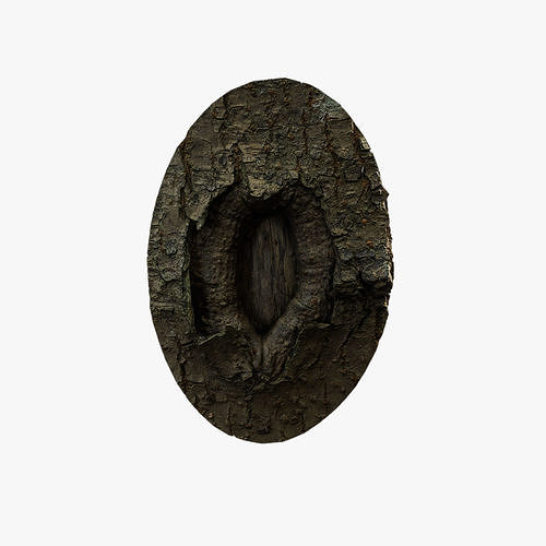 Anydrafts Koelreuteria paniculata Burl 19 Low-poly 3D model
