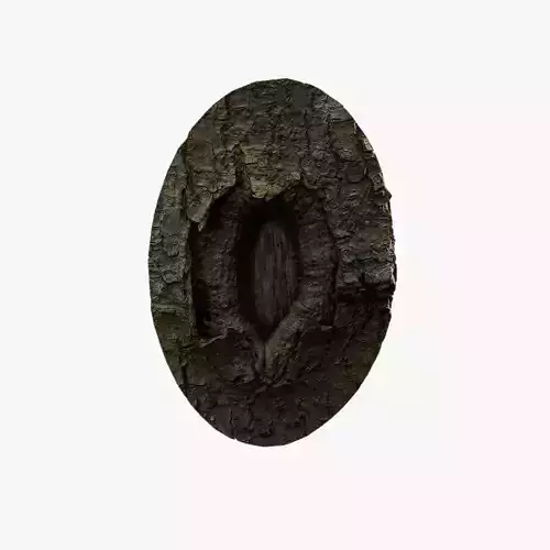 Anydrafts Koelreuteria paniculata Burl 19 Low-poly 3D model