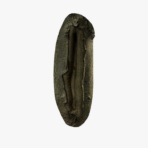 Anydrafts Koelreuteria paniculata Burl 20 Low-poly 3D model
