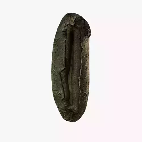 Anydrafts Koelreuteria paniculata Burl 20 Low-poly 3D model