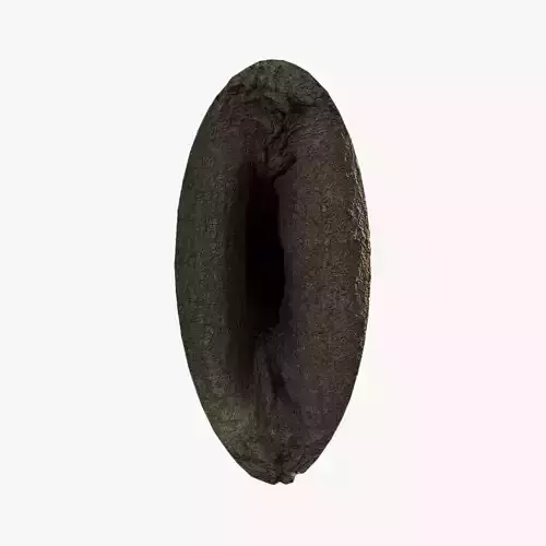 Anydrafts Koelreuteria paniculata Burl 22 Low-poly 3D model
