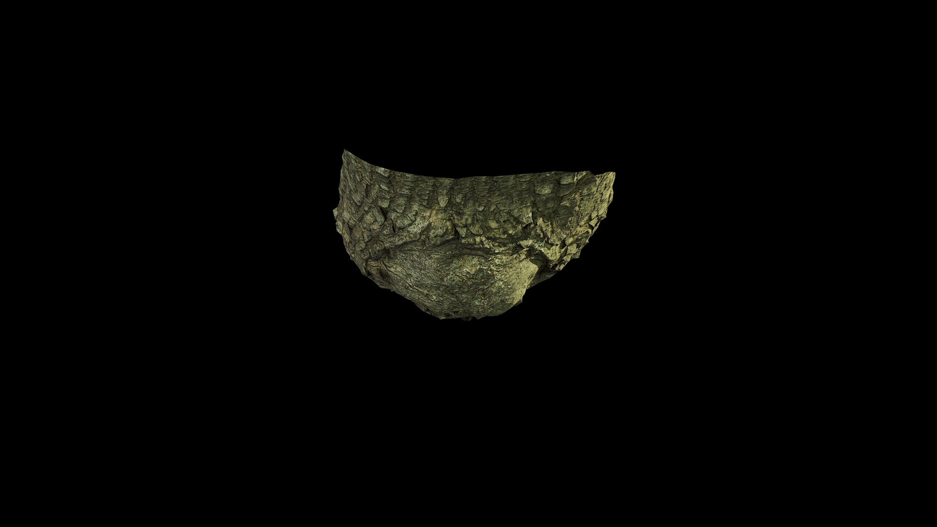 Anydrafts Koelreuteria paniculata Burl 23 Low-poly 3D model_6