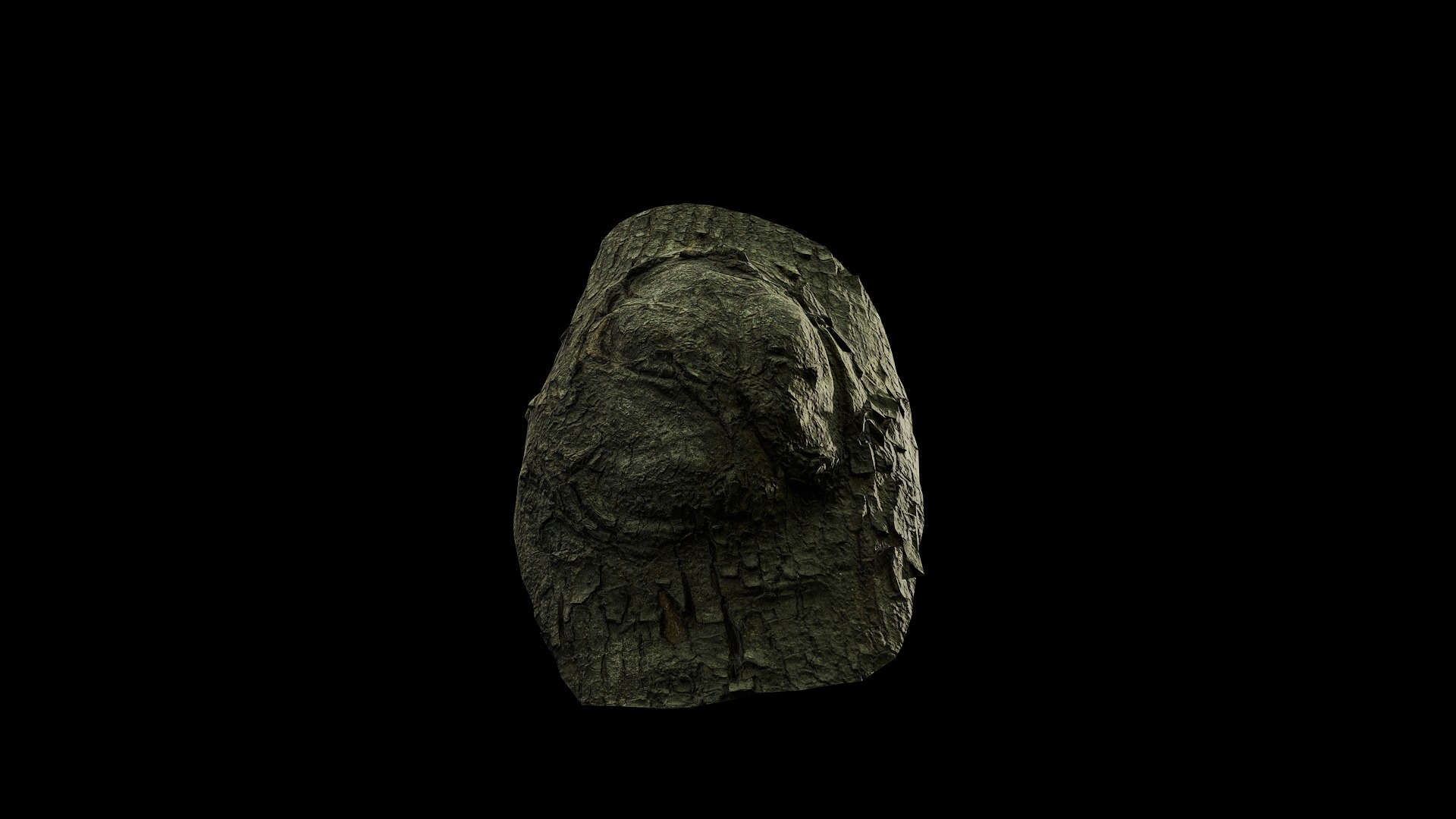 Anydrafts Koelreuteria paniculata Burl 23 Low-poly 3D model_5