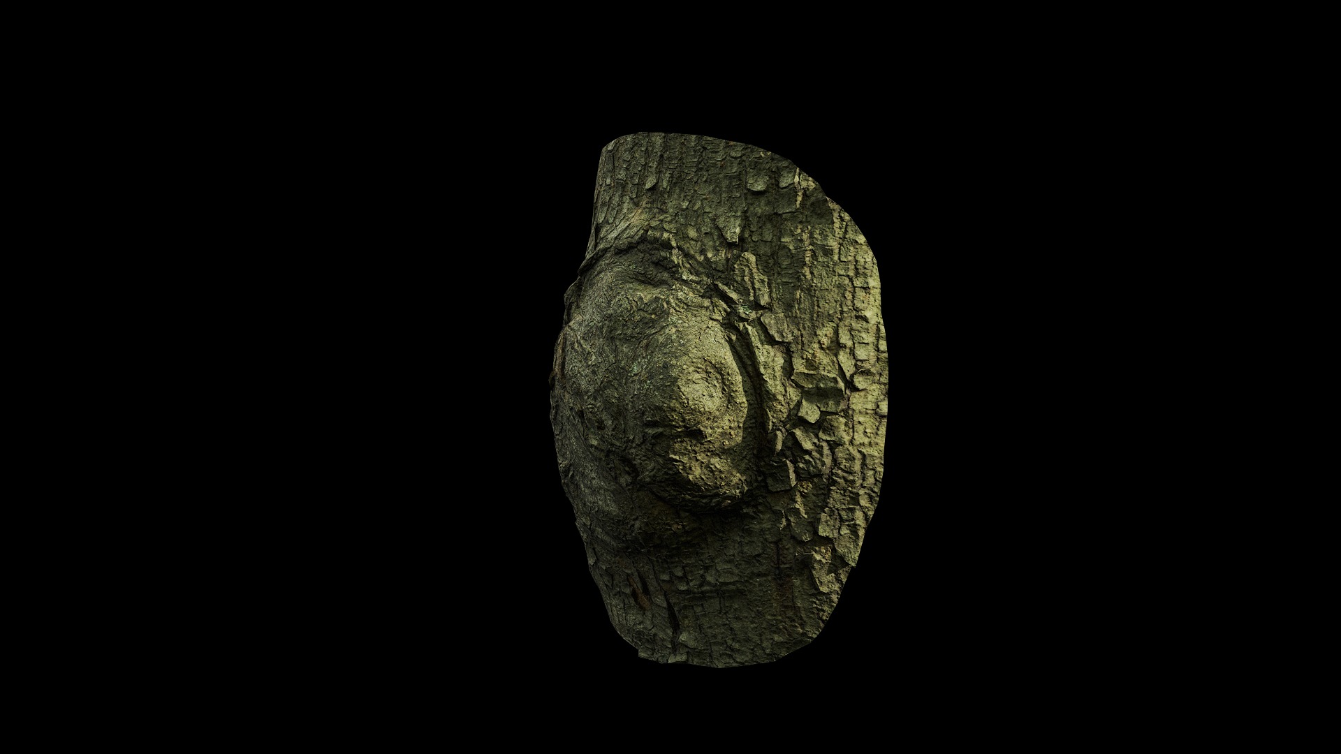 Anydrafts Koelreuteria paniculata Burl 23 Low-poly 3D model_4