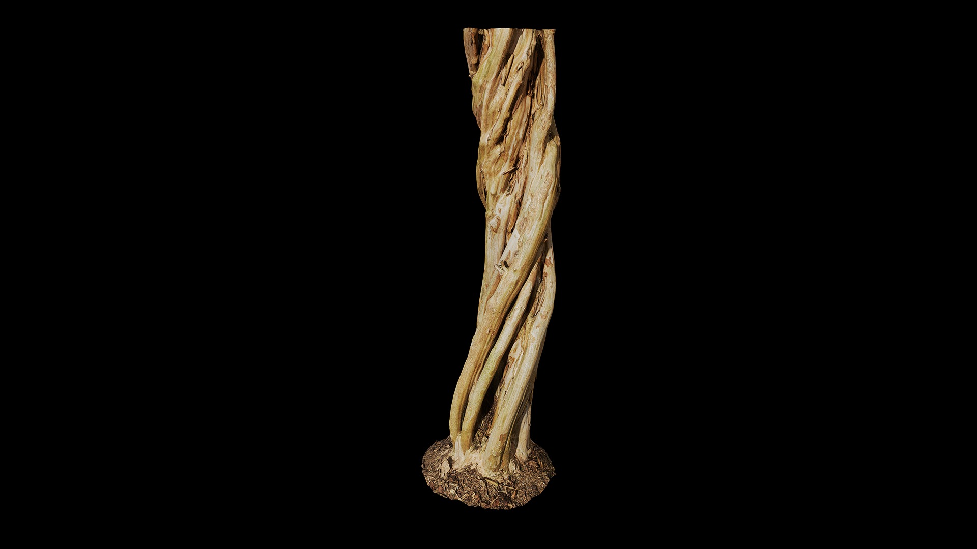 Anydrafts Lagerstroemia indica Trunk 04 Low-poly 3D model_6