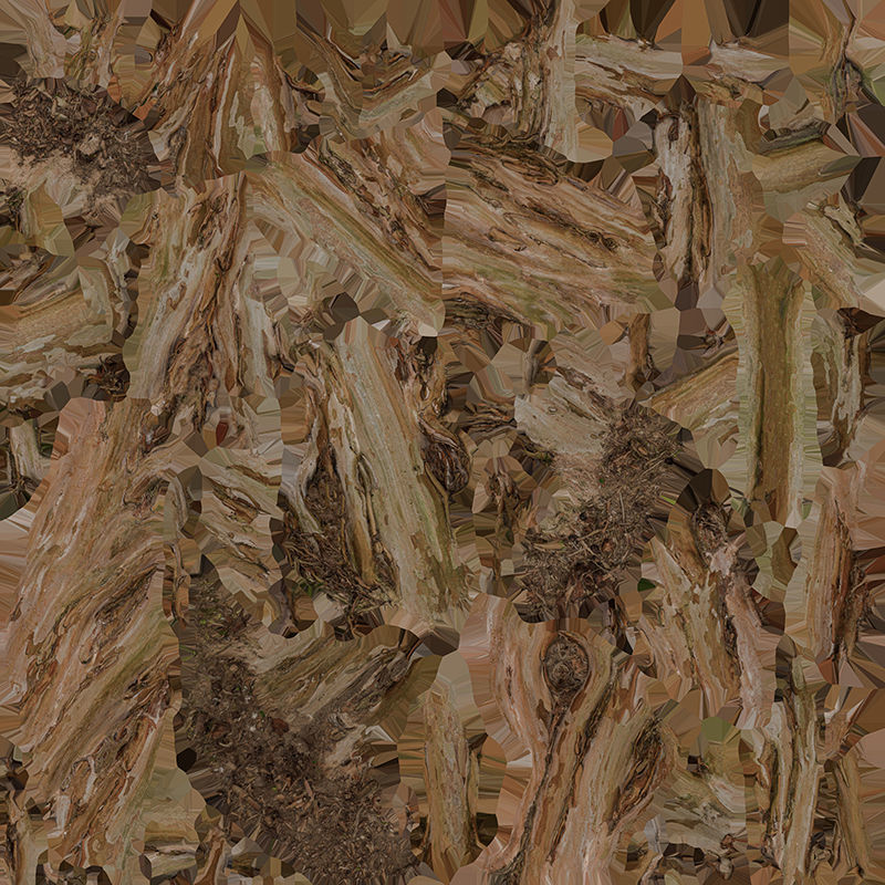 Anydrafts Lagerstroemia indica Trunk 04 Low-poly 3D model_1