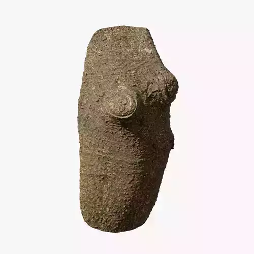 Anydrafts Lindera megaphylla Burl 01